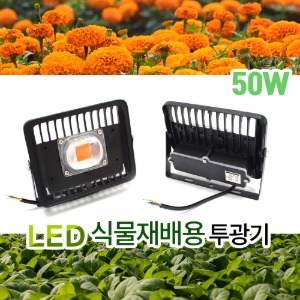 LED 식물 재배 투광기 50W