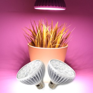 LED 식물재배용 PAR30 15W