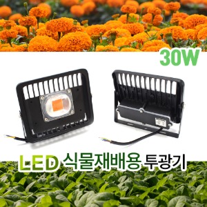 LED 식물 재배 투광기 30W
